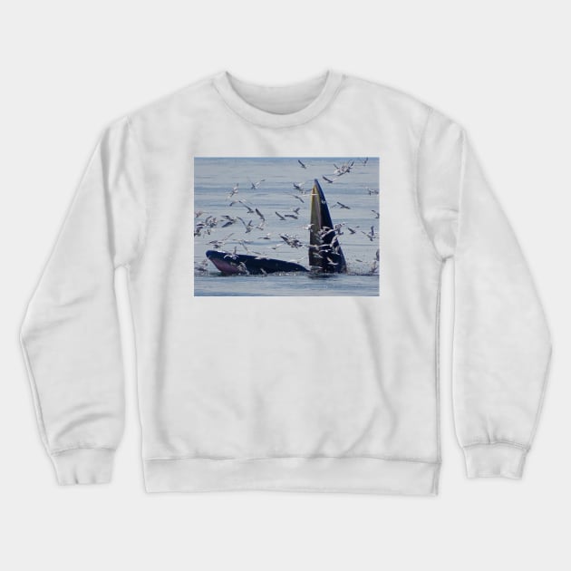 WHALE NATION Crewneck Sweatshirt by dumbodancer